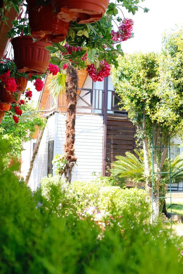 Guest House Alashara Pitsunda Dış mekan fotoğraf