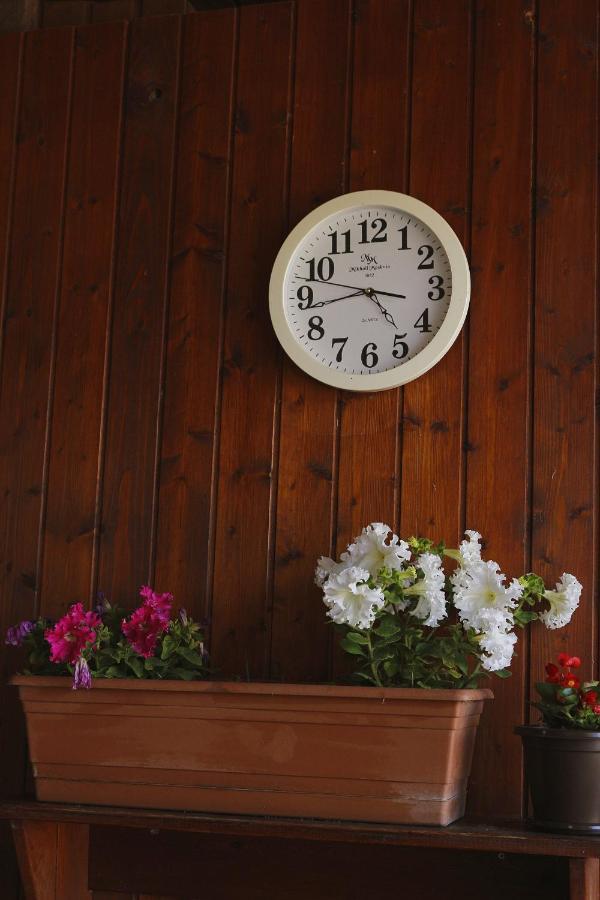 Guest House Alashara Pitsunda Dış mekan fotoğraf