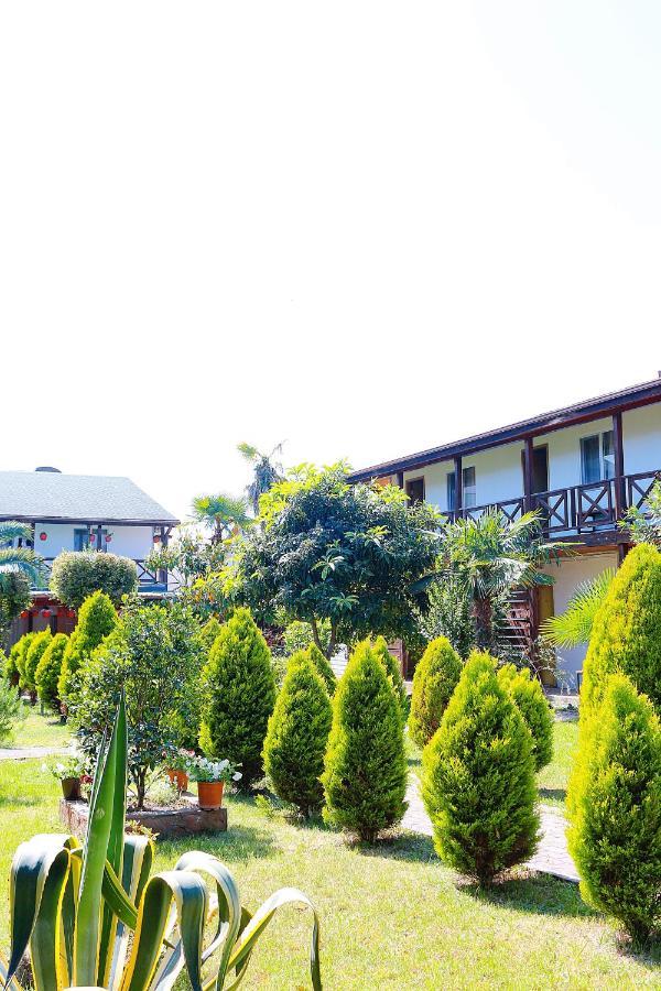 Guest House Alashara Pitsunda Dış mekan fotoğraf