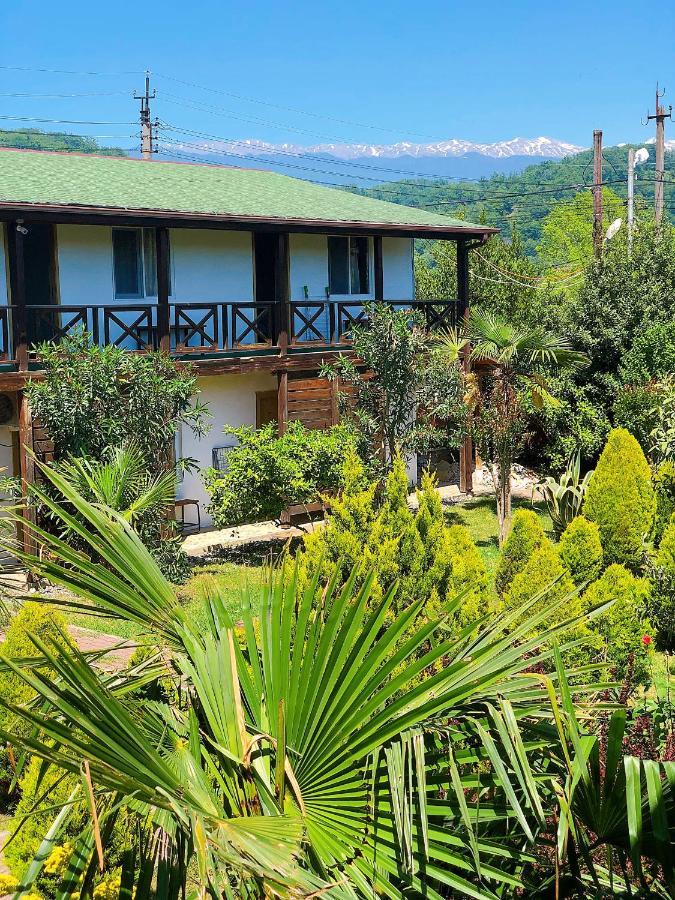Guest House Alashara Pitsunda Dış mekan fotoğraf