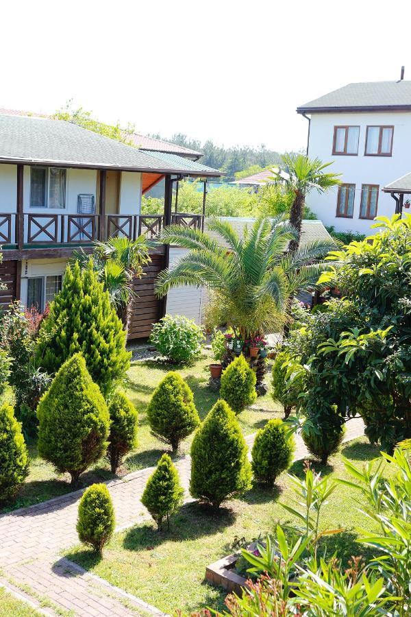Guest House Alashara Pitsunda Dış mekan fotoğraf
